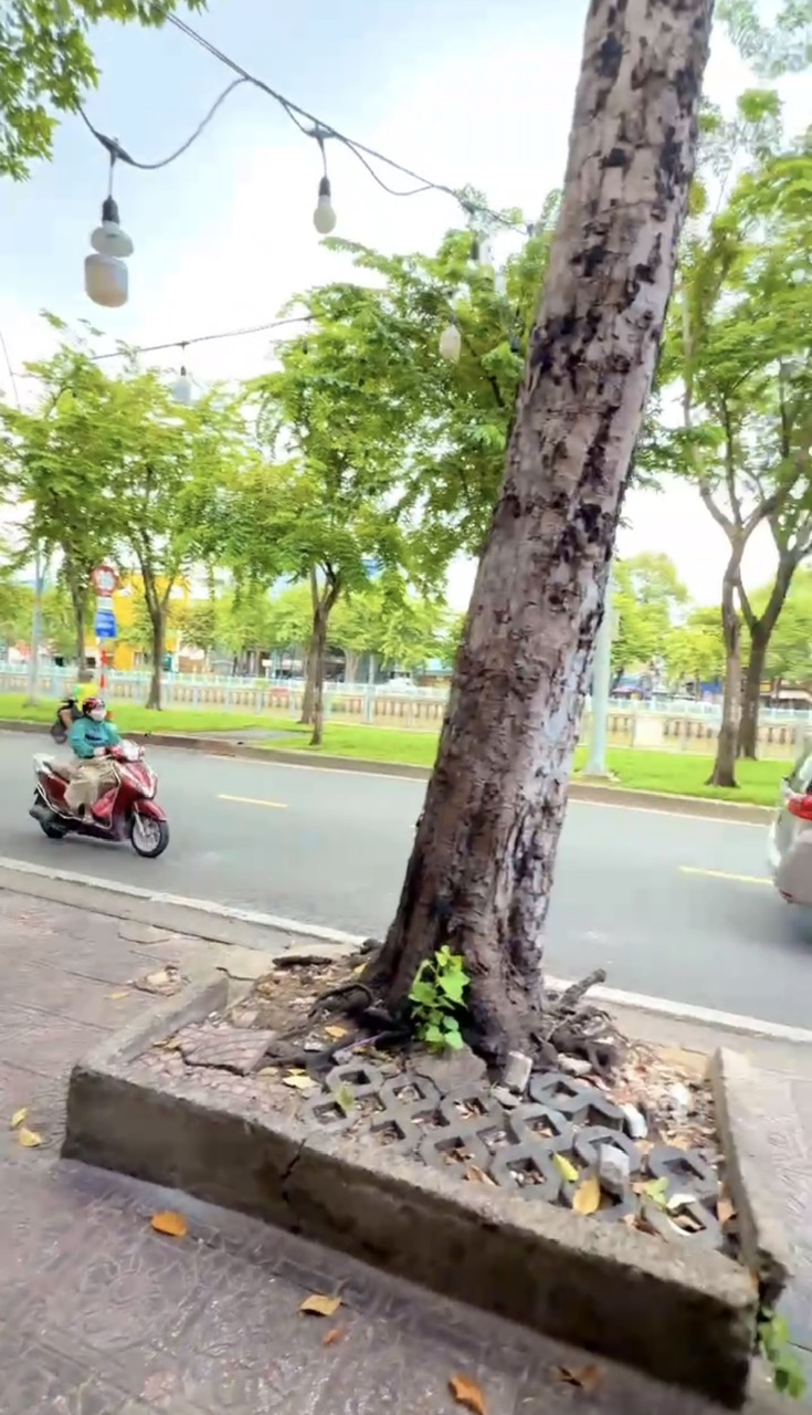 hình ảnh bất động sản