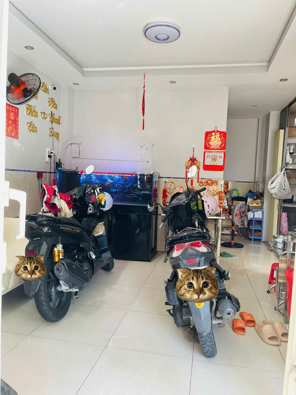 hình ảnh bất động sản