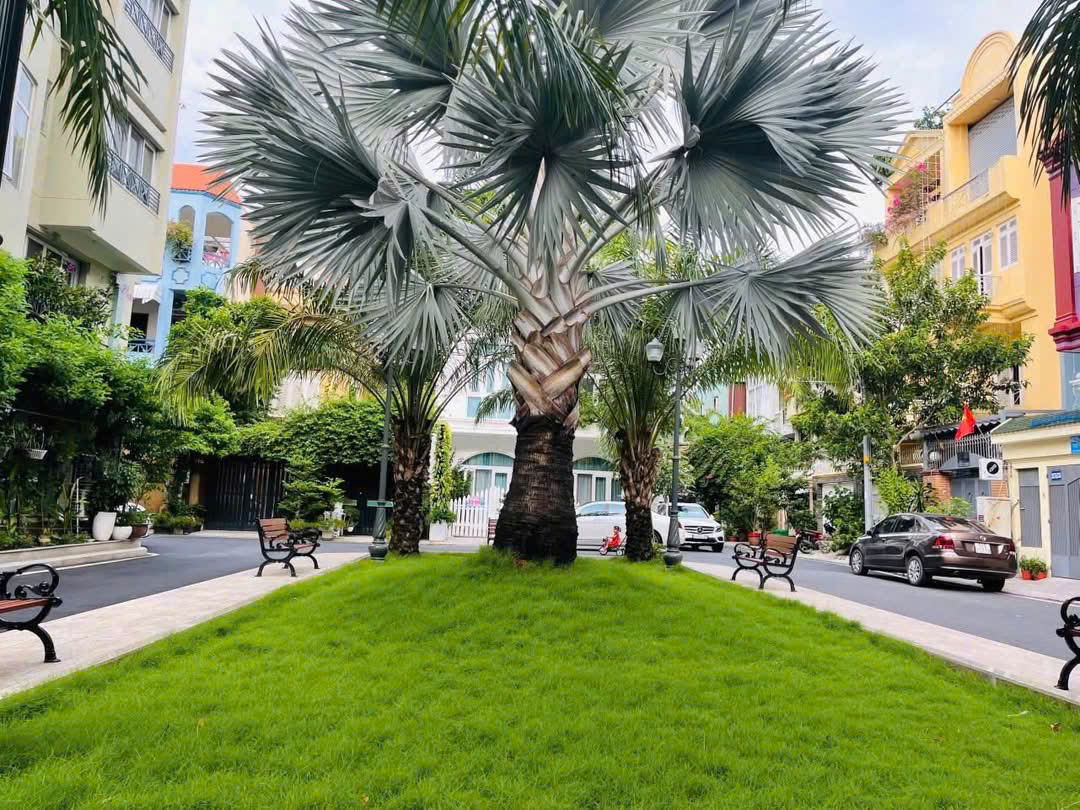 hình ảnh bất động sản