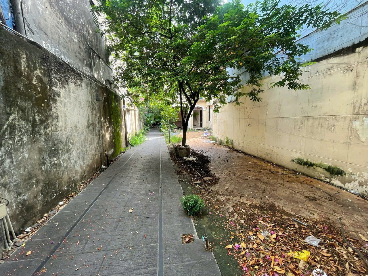 hình ảnh bất động sản